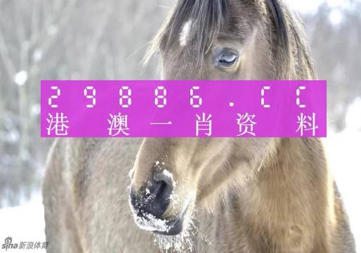 市政公用工程施工总承包贰级 第456页