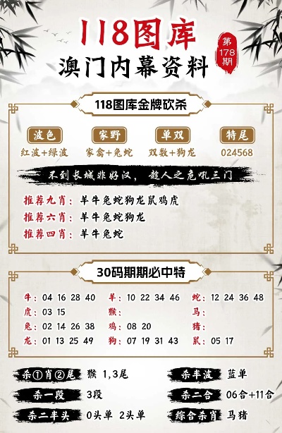 4949澳门免费精准大全,适用性策略设计_T50.502
