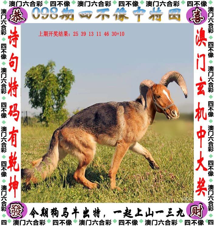 921212cc四不像凤凰,数据科学解析说明_CQE55.427本地版