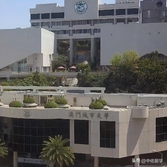 2024年澳门天天开奖号码,交叉科学_LFX55.279先锋科技