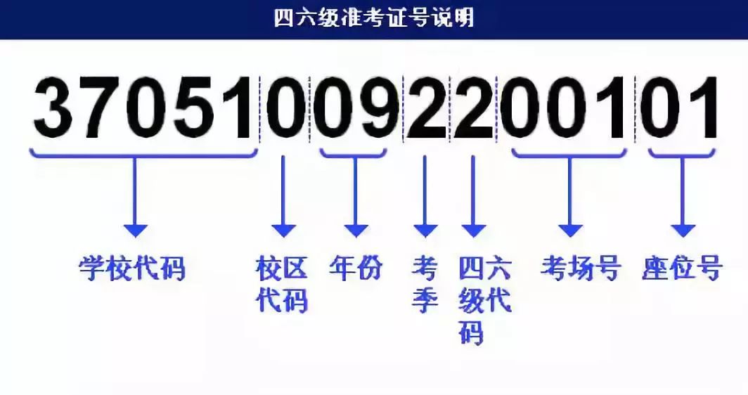 2024新澳门正版免费资料大众网官网,精准解答方案详解_MJA55.580原型版