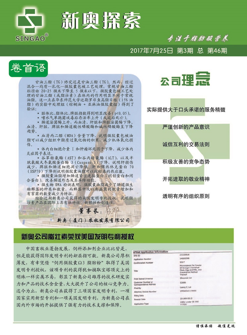 2024新奥管家婆正板资料,综合计划评估_JNG55.420智能版