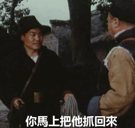 最新GIF,最新GIF，温馨有趣的日常小故事